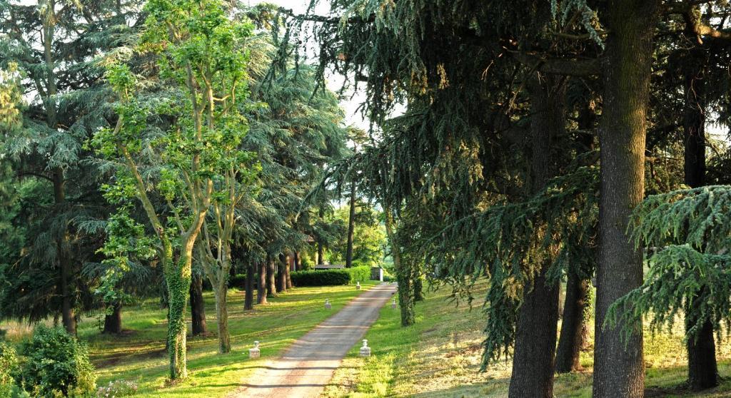 Logis De Nantas Panzió Saint-Jean-Bonnefonds Kültér fotó